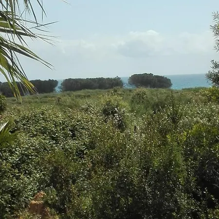 Les Jardins De La Mer Marine De Bravone - 2 A Lit Plus Sofa Avec Piscine A Cote Mer Apartment