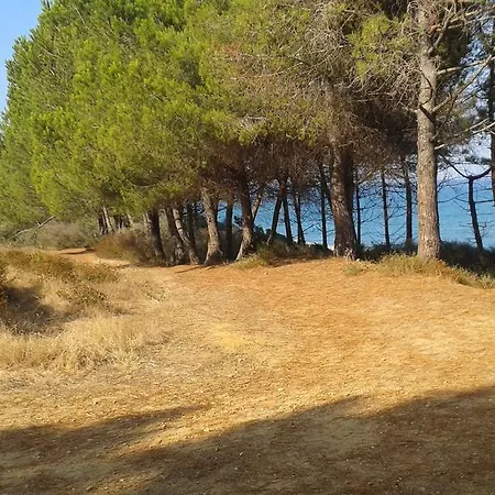 Les Jardins De La Mer Marine De Bravone - 2 A Lit Plus Sofa Avec Piscine A Cote Mer Apartman Linguizzetta