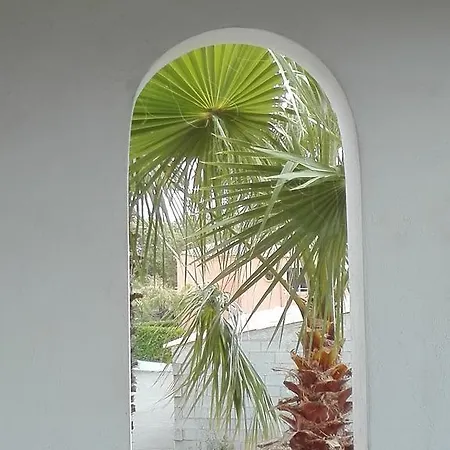Les Jardins De La Mer Marine De Bravone - 2 A Lit Plus Sofa Avec Piscine A Cote Mer Apartman