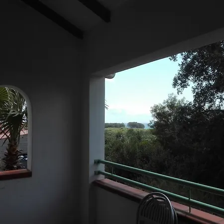 Les Jardins De La Mer Marine De Bravone - 2 A Lit Plus Sofa Avec Piscine A Cote Mer * Linguizzetta